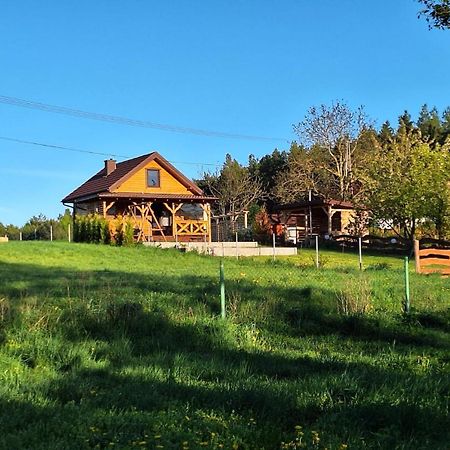 Domek Nad Stawem Bory Tucholskie Swiekatowo Eksteriør billede