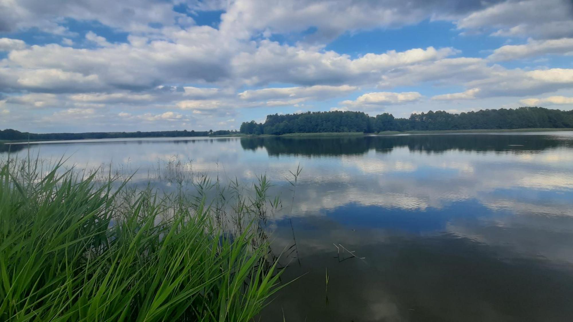 Domek Nad Stawem Bory Tucholskie Swiekatowo Eksteriør billede